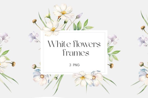 Download Watercolor White Wildflowers Frame - Flowers Collection