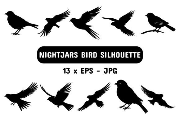 Download Nightjars Silhouette Collection Bundle - Silhouette collection Collection