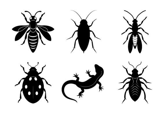 Download Insect Clipart Silhouette Collection - Silhouette collection Collection