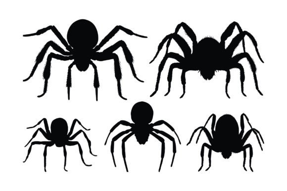 Download Spider Sitting Silhouette Collection - Silhouette collection Collection