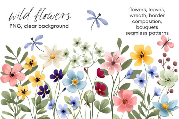 Download Wild Flowers, Butterflies and Dragonfly. - Premium Resources